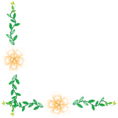 Flower of frame on white background