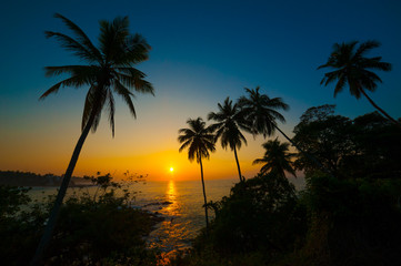 Obraz na płótnie Canvas Beautiful tropical sunset