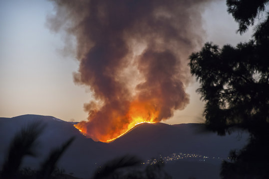 Forest Fire near Bedar, Mojacar, Almeria, Andalusia, Spain