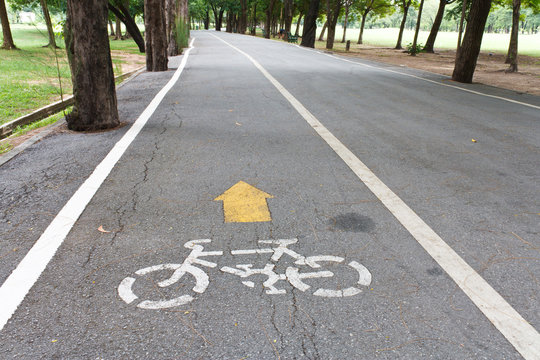 Bicycle way in park
