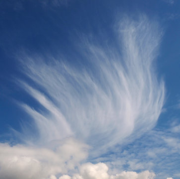 Mares tail clouds
