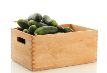 fresh cucumbers in wooden box isolated on white