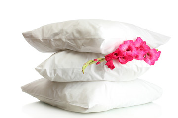 pillows and flower, isolated on white