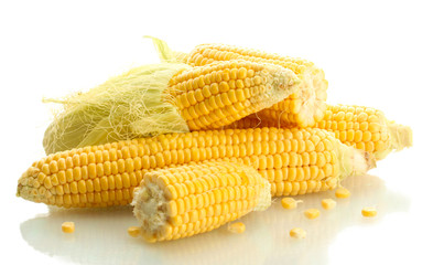 fresh corn, isolated on white