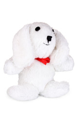 White bunny isolated on white