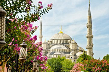 View of Santa Sofia, Istanbul