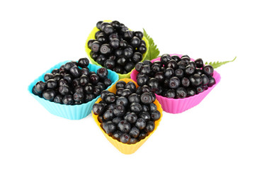 Fresh blueberries in colorful silicone mold isolated on white