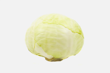 Fresh Cabbage Isolated