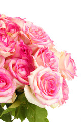Obraz na płótnie Canvas beautiful bouquet of pink roses isolated on white