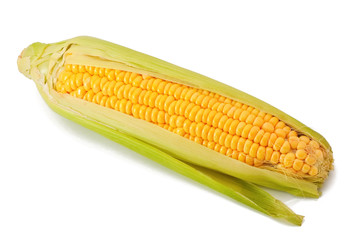 Corn