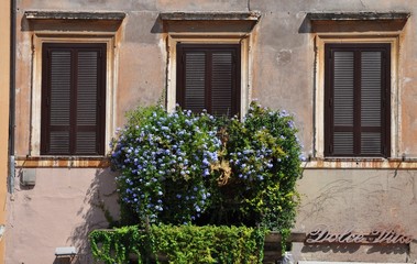 Fototapeta na wymiar Balkon z kwiatami
