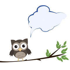 Owl with speech bubble isolated on white