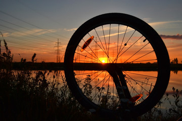 Bicycle wheel at sunset