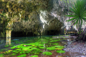 Mexican cenote