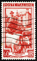 Postage stamp Italy 1950 Grain Cart, Marche