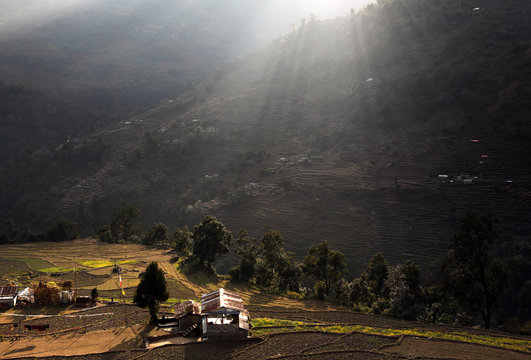 Morning glow over Himalayan Farm