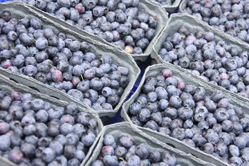 blaubeeren