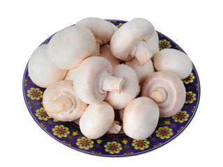 White mushrooms on  plate isolated on white background