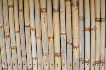 Bamboo texture and background