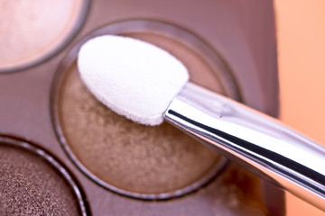 brown eyeshadow palette and brush