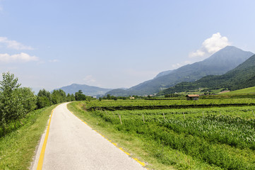 Cycle lane of the Adige valley