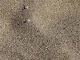Sand macro