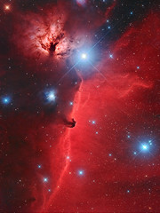 Pferdekopf-Nebel © Siggi