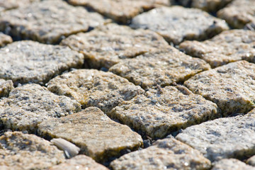 Paving stones texture
