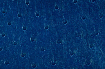 Blue leather