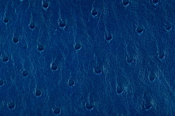 Gordijnen Blauw leer © homydesign