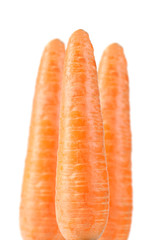 Three Carrots on White Background