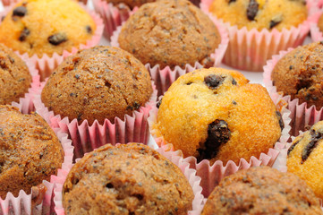 Chocolate and Chocolate Chip Muffins (Cupcakes)