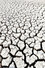 dry land, Parc Regional de Camargue, Provence, France