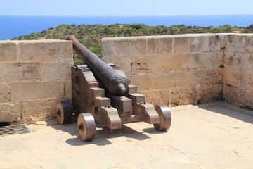 Fototapeta na wymiar stara armata na bastion