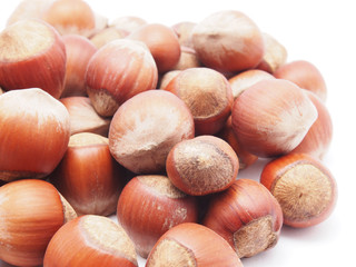hazelnut