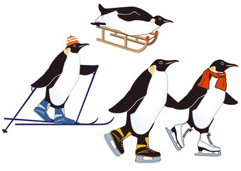 Pinguine beim Winterspor