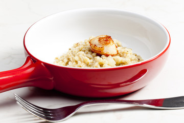fried Saint Jacques mollusc with pearl barley risotto