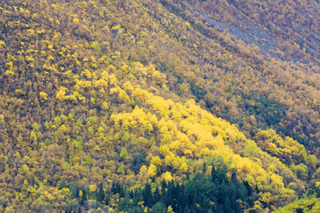 landscape near Borgund Stavkirke, Norway