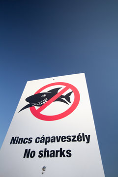 No sharks