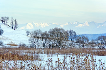 Winter landscape