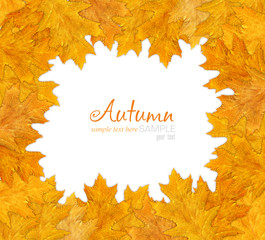 Autumn frame