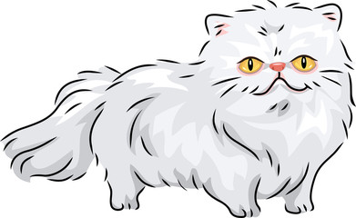 Persian Cat