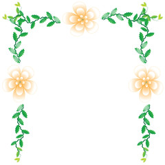 Flower of frame on white background