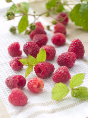 fresh raspberry