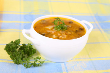 Pickle soup
