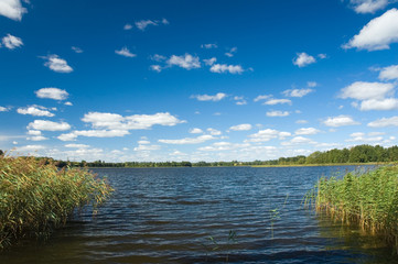 Shore of the lake