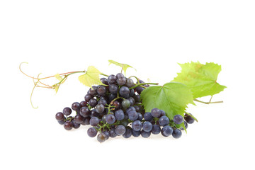 Red grape