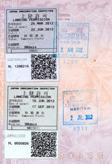 Obraz premium Japanese landing permit