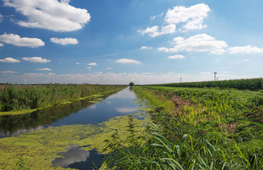 Fototapeta na wymiar Canal przez holenderski krajobraz w lecie