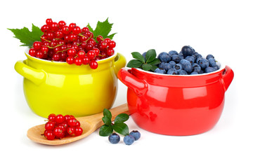 delicious red currant and blueberry, isolated on white backgroun